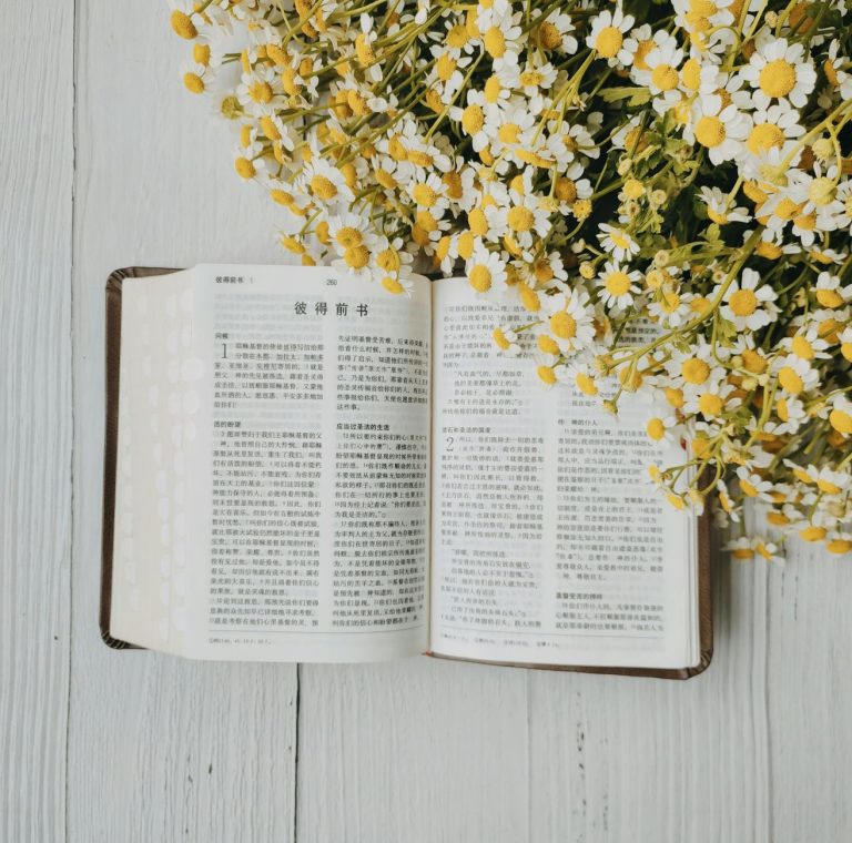 What Are the Best Healing Testimonies in the Bible for 2026?