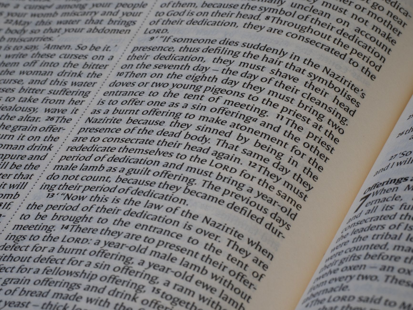 A Biblical Covenant Teaching Guide for 2026