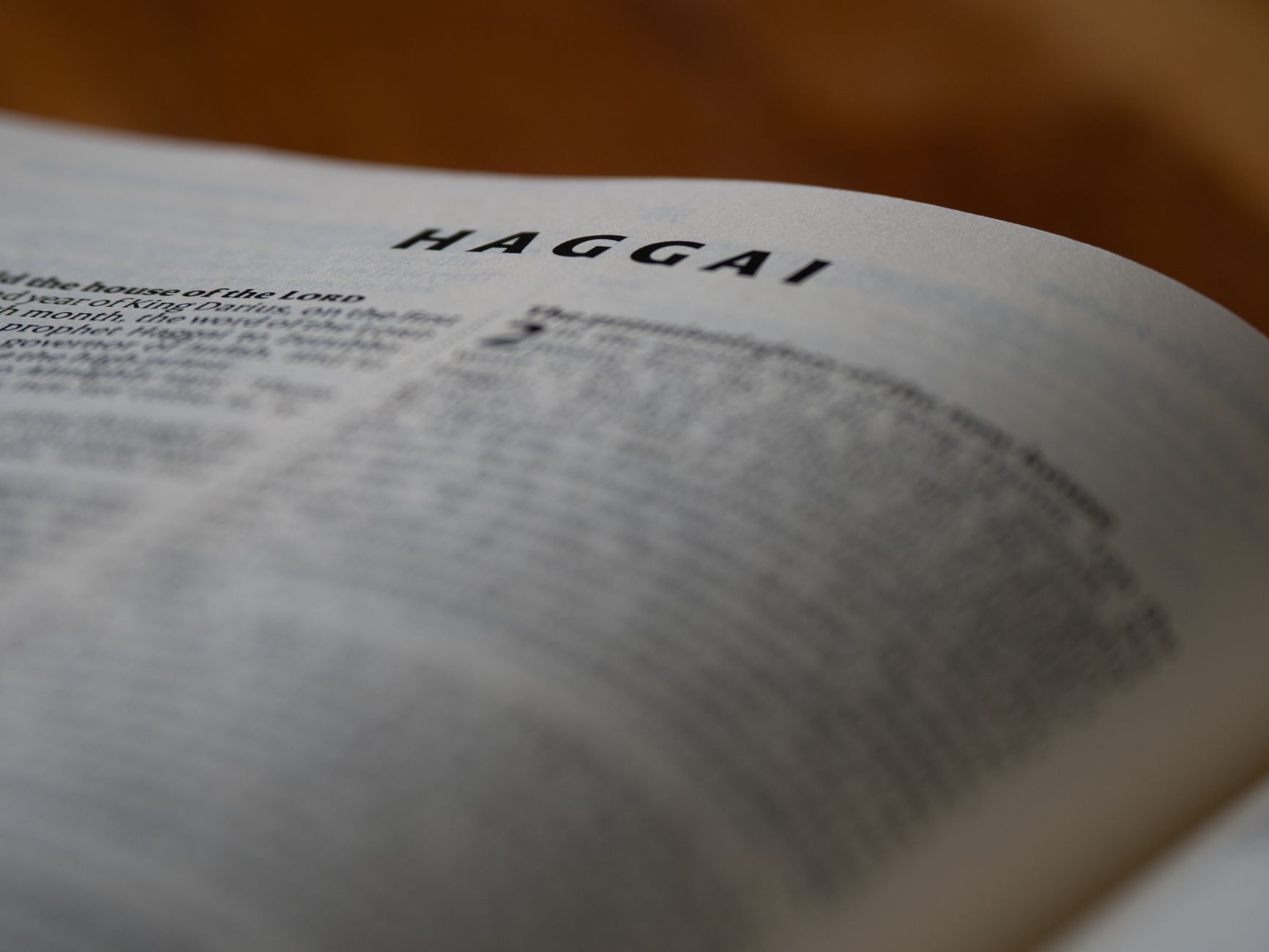 What Do Biblical Names Mean and Why Do They Matter?