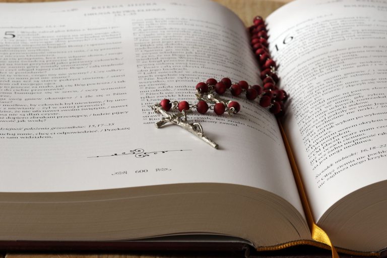 What Is the Difference Between a Catholic Bible and a Protestant Bible?