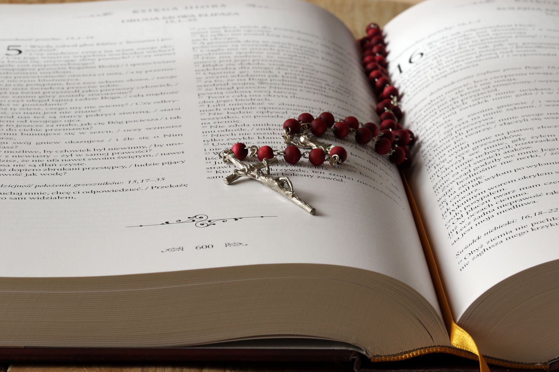 What Is the Difference Between a Catholic Bible and a Protestant Bible?